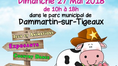 Fête du Printemps – Dammartin sur Tigeaux (77)
